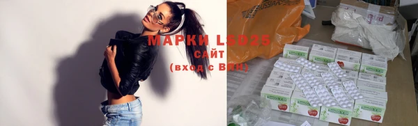 индика Балахна