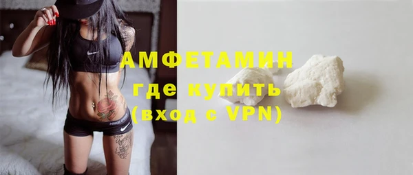 индика Балахна