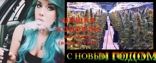 индика Балахна
