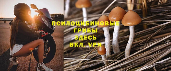 скорость mdpv Новодвинск