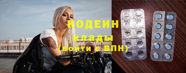 индика Балахна