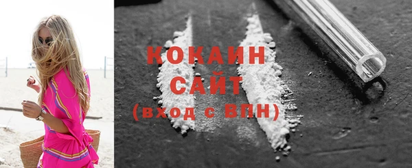 индика Балахна